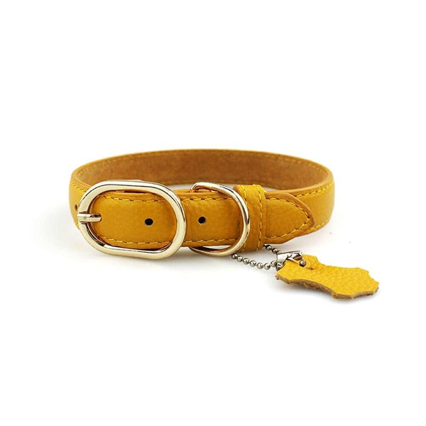 Leather Dog Neck Collar with Hangtag